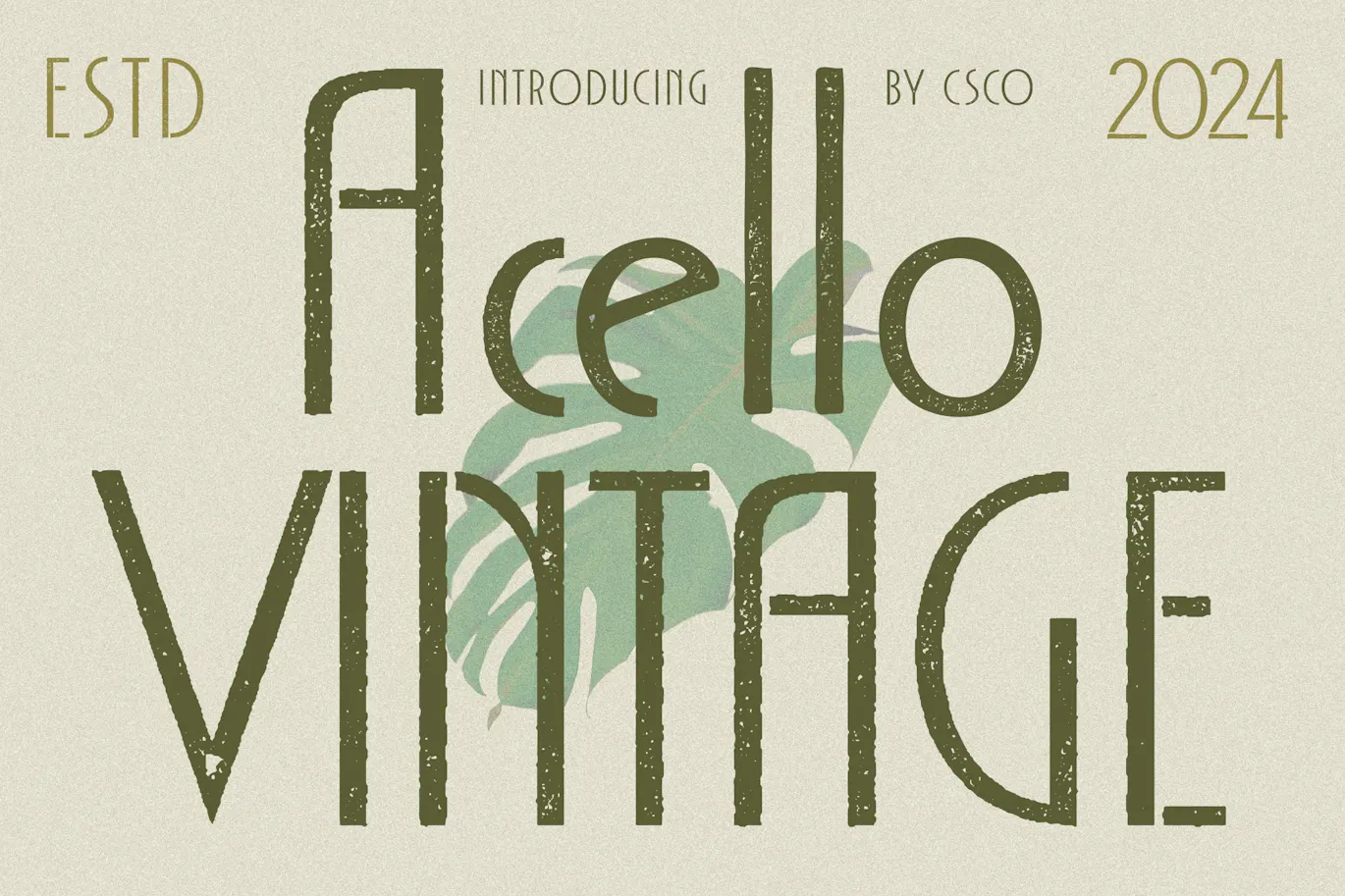 永恒的优雅与装饰艺术字体 - Acello Vintage 设计字体 第1张