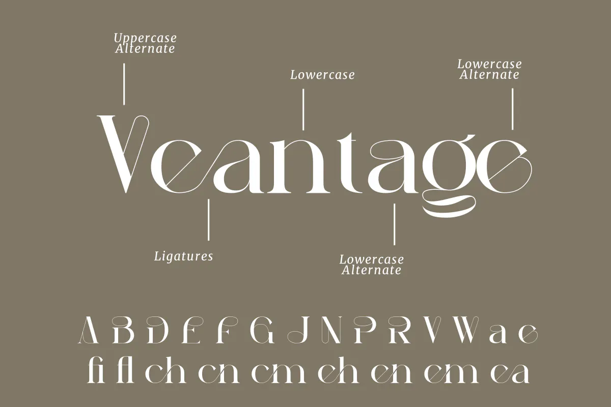 优雅时尚衬线字体 Peagen Elegant Stylish Serif 设计字体 第11张