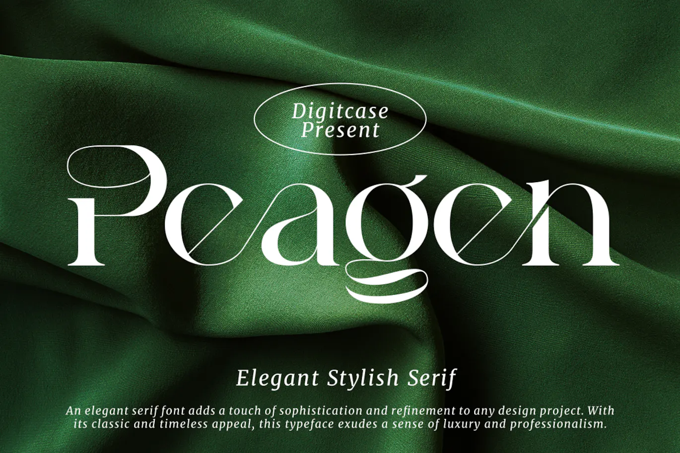 优雅时尚衬线字体 Peagen Elegant Stylish Serif 设计字体 第1张